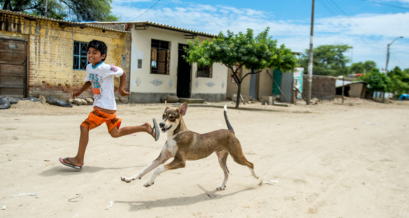 Home - United Against Rabies ForumUnited Against Rabies Forum | United ...