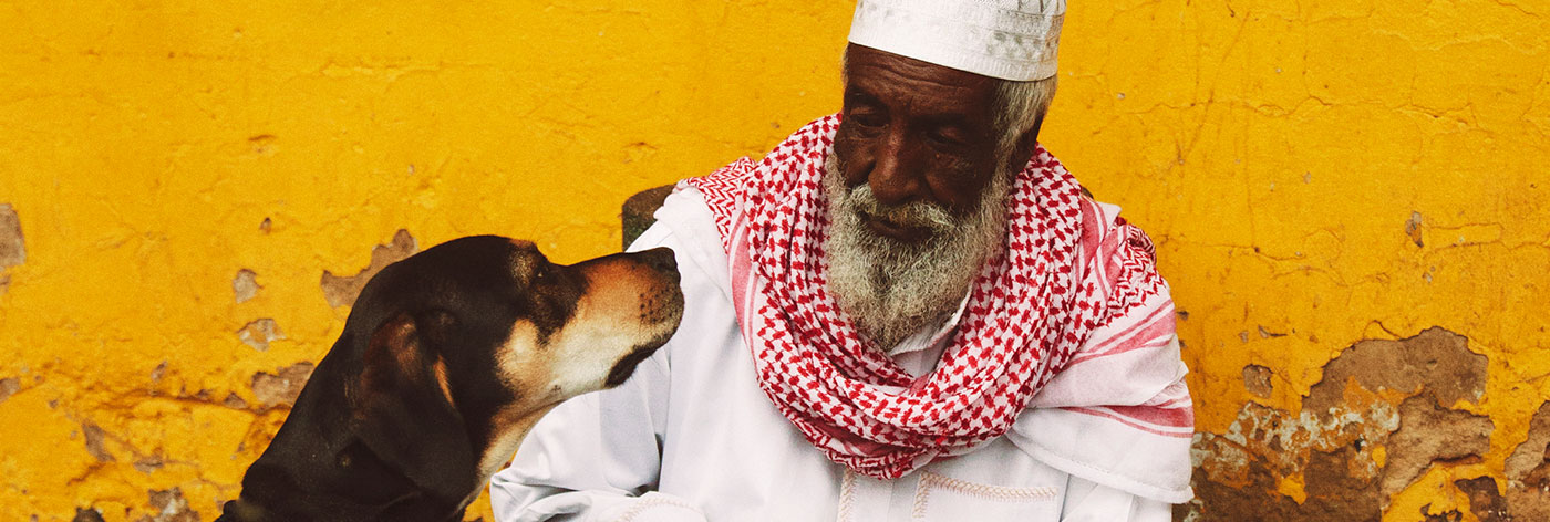 What We Do - United Against Rabies ForumUnited Against Rabies Forum